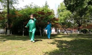 杨式太极拳85式教学